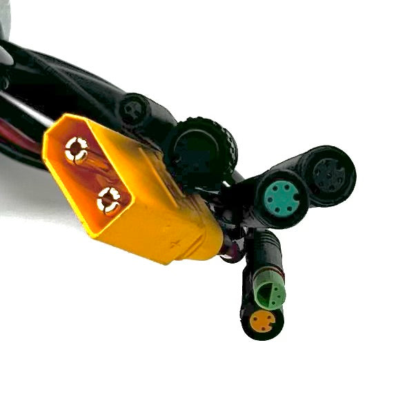 Contrôleur Tri-Cycle SST