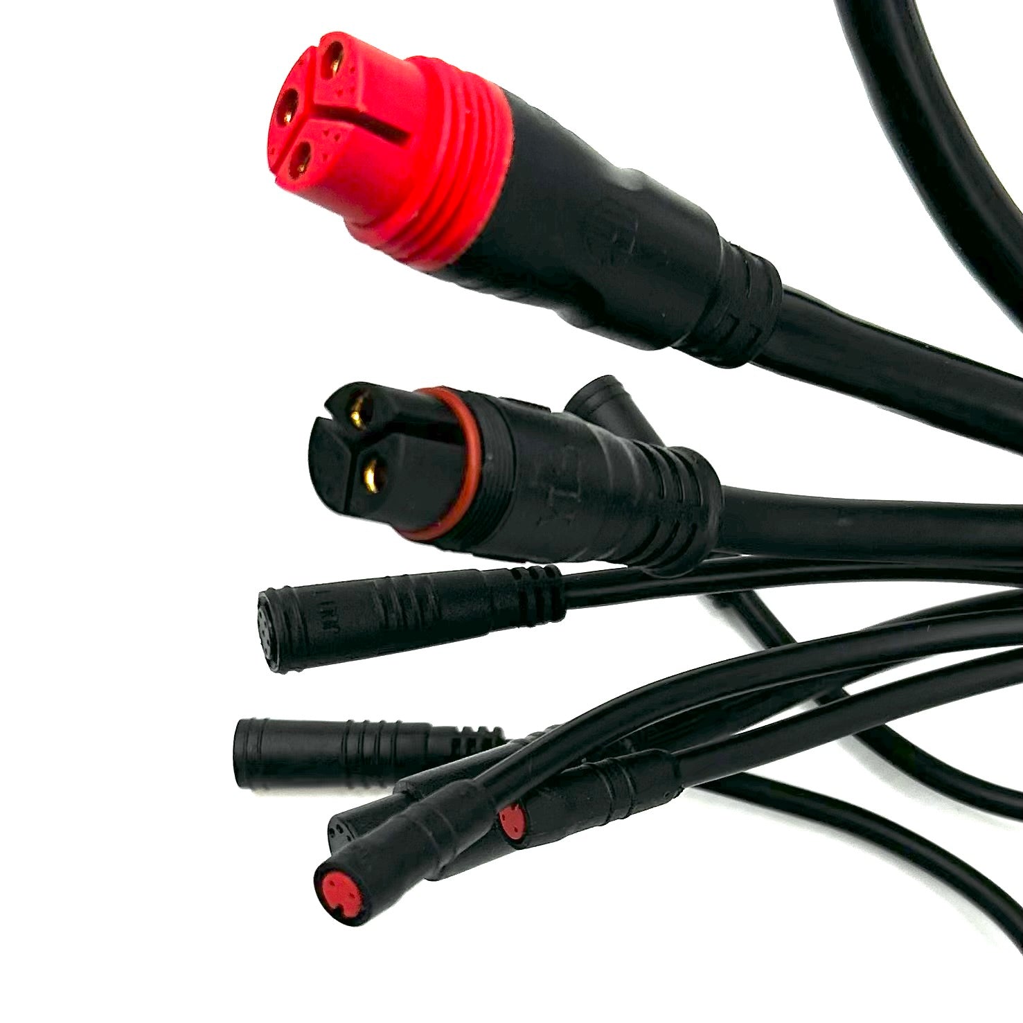 Contrôleur Super Mammoth Dual Motor VM