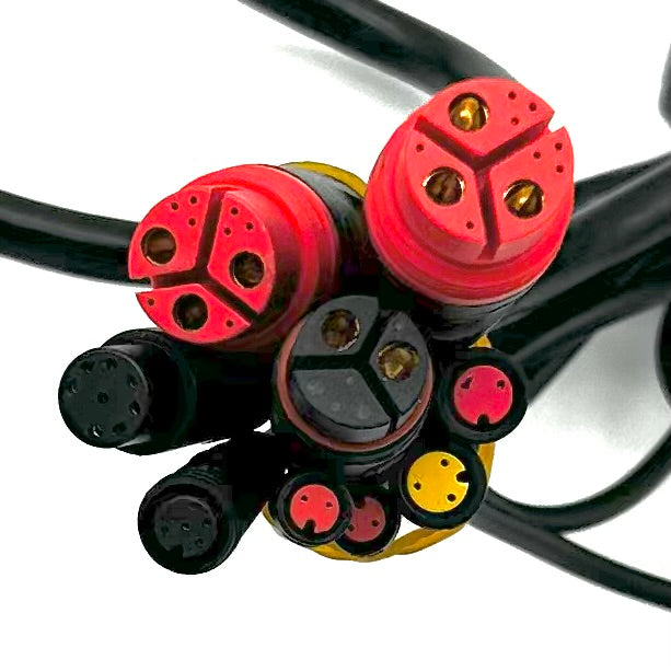 Contrôleur Super Mammoth Dual Motor VM