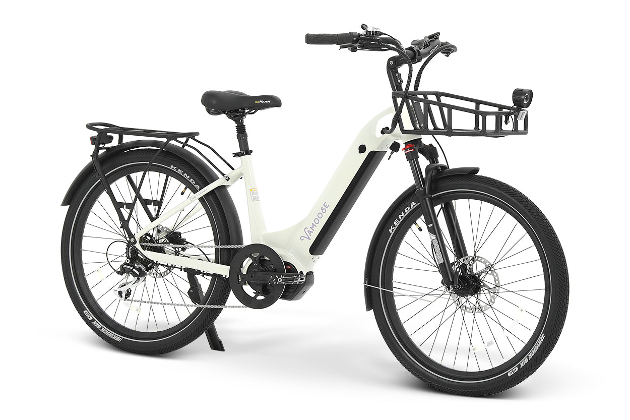 Basket Cruiser Style