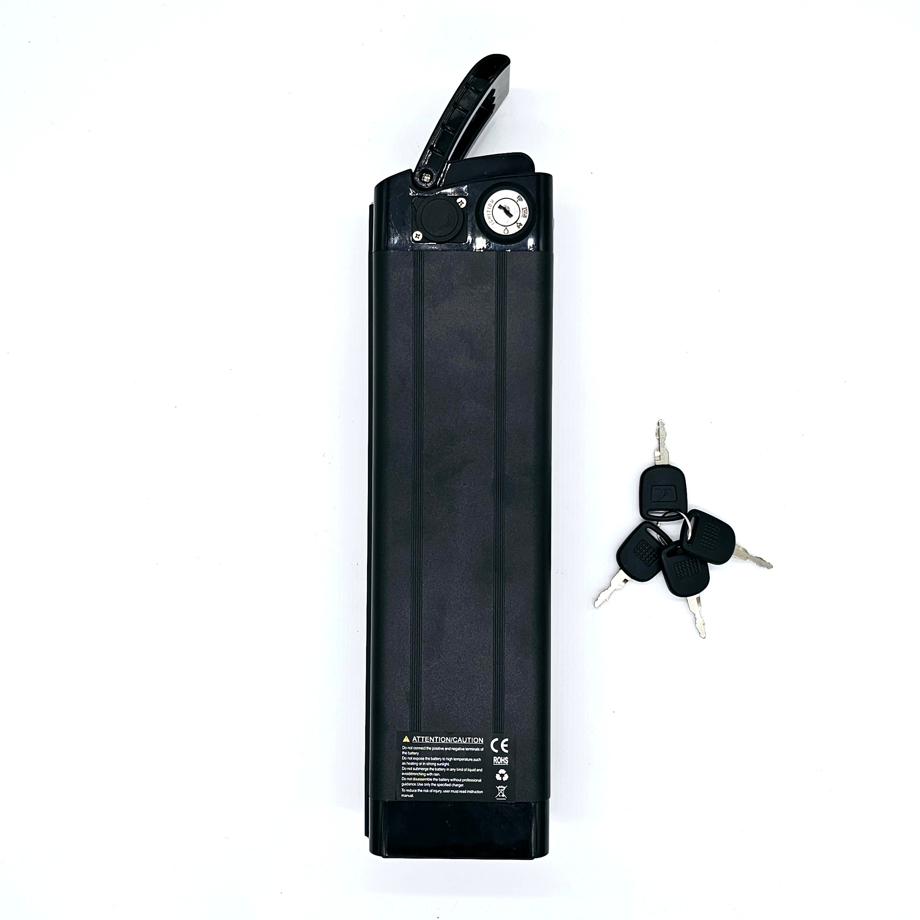 Batterie Samsung 48V 15 Ah Cr R