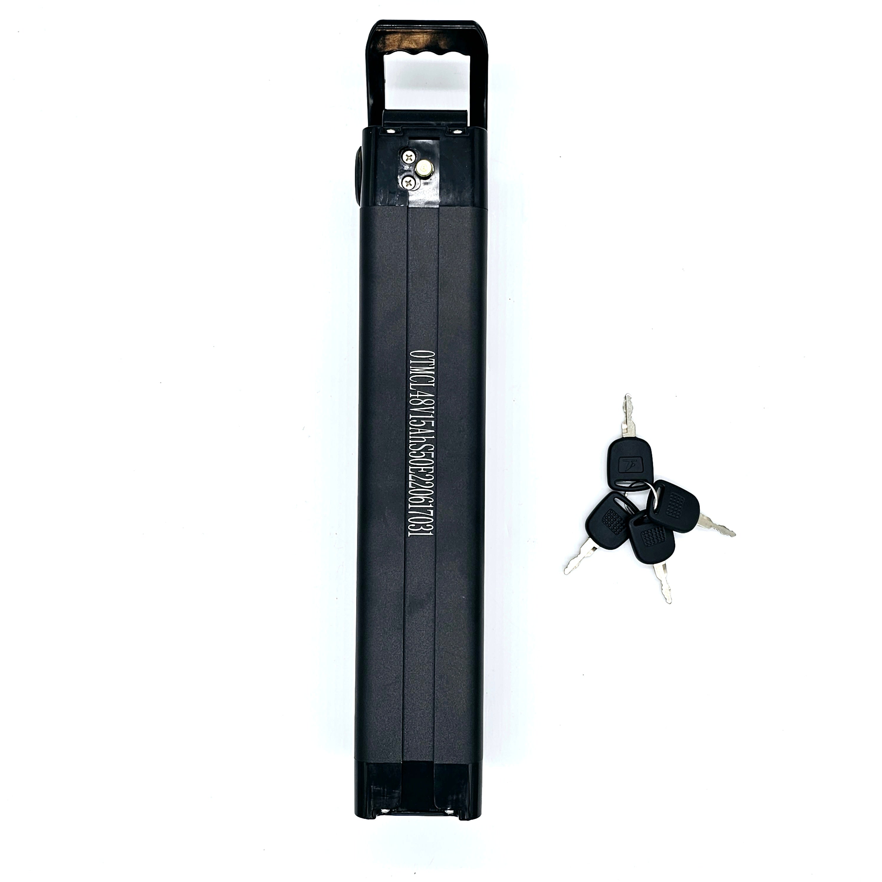 Batterie Samsung 48V 15 Ah Cr R